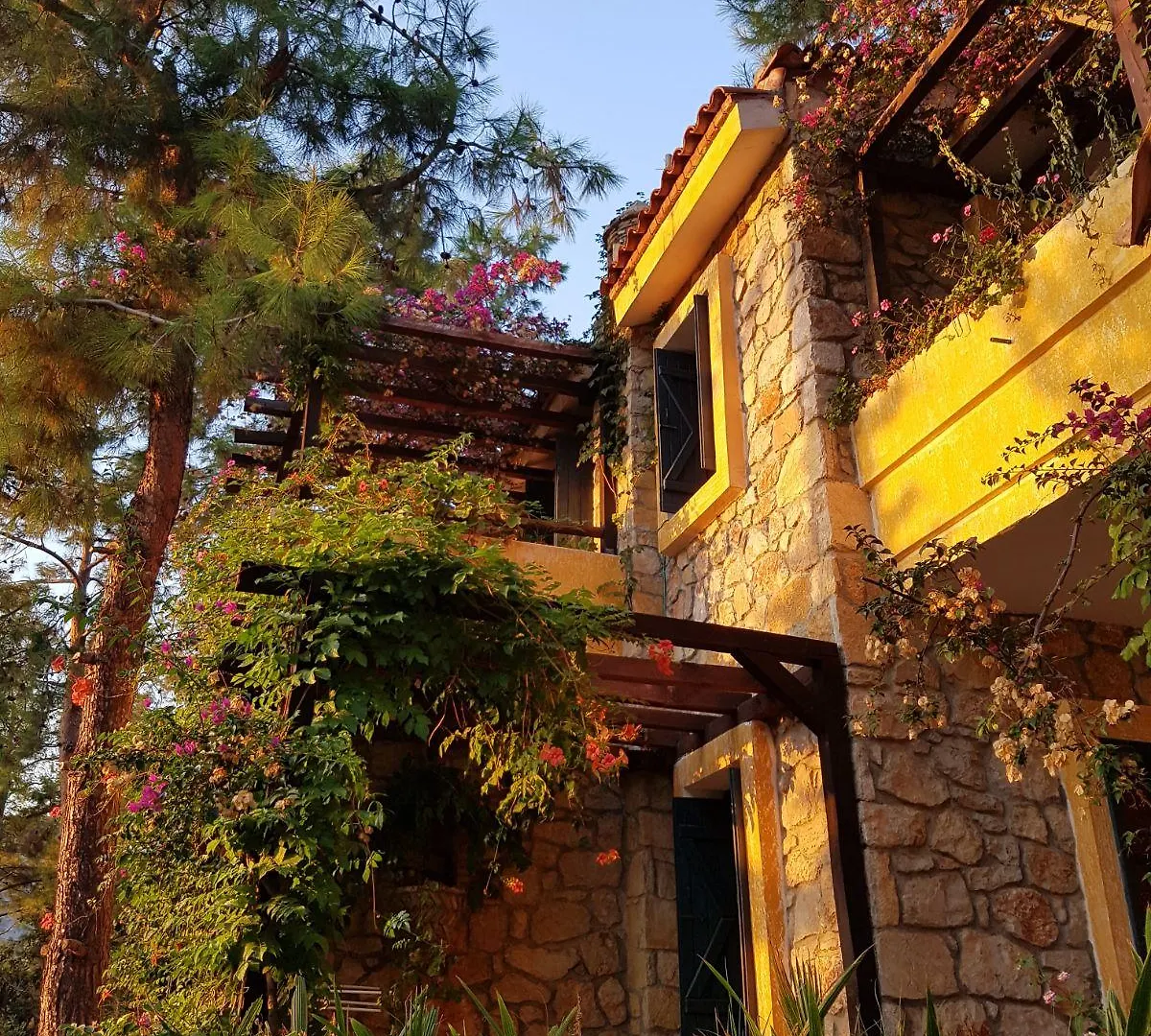 Symbola Oludeniz Beach Hotel