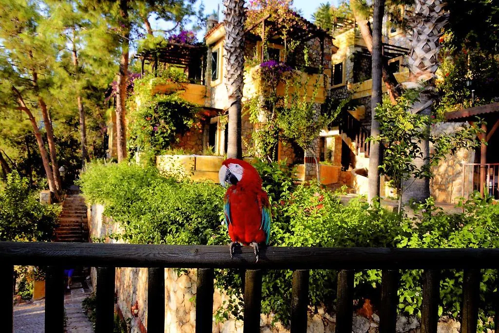 فندق Symbola Oludeniz Beach