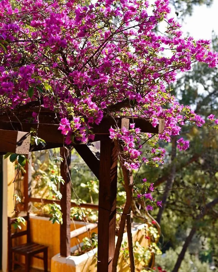 فندق Symbola Oludeniz Beach